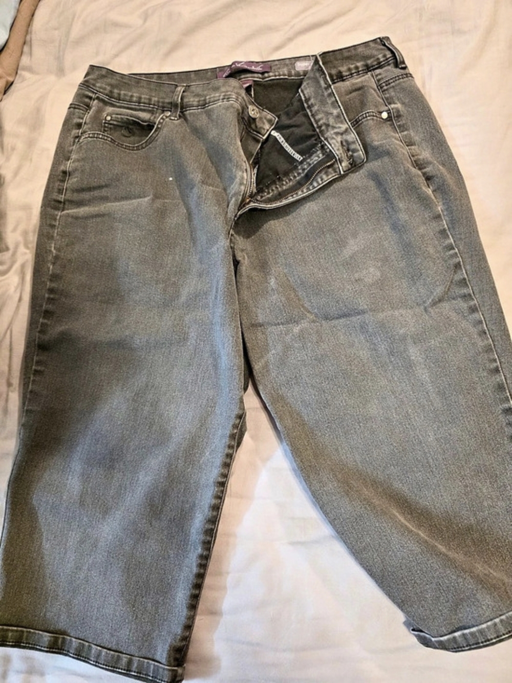 Gloria Vanderbilt Capri 20w